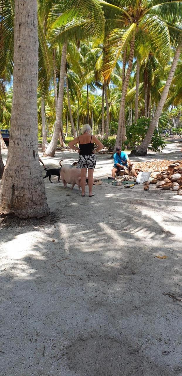 Te-Fare-Arii Poemanahere Island Camping A Maupiti מראה חיצוני תמונה